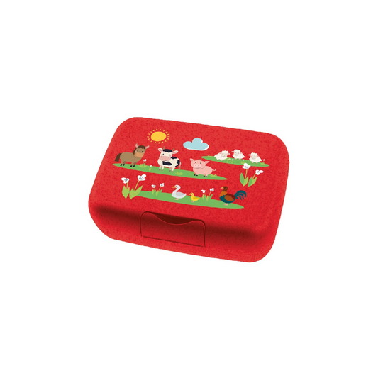 LunchBox Candy L Farm με Διαχωριστικό