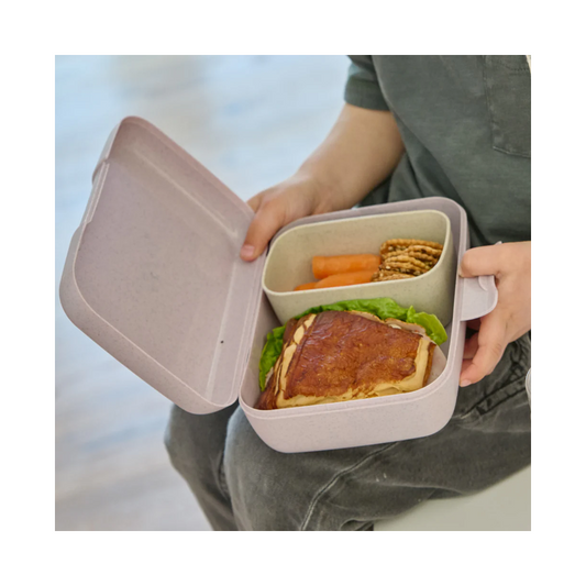 LunchBox Candy L Trucks με Διαχωριστικό