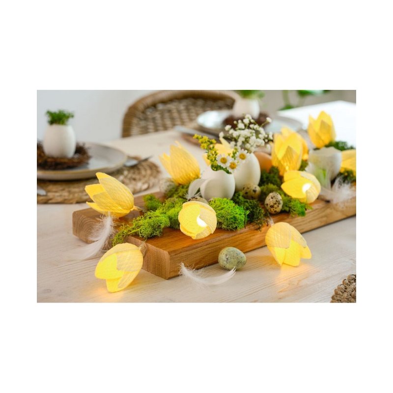 Spring Fairy lights Tulip lights