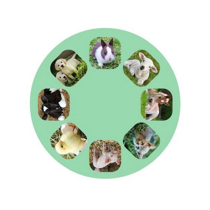 Small Slideshow Animal